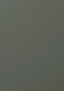 RENOLIT EXOFOL PX QUARTZ GREY 7039 